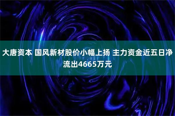 大唐资本 国风新材股价小幅上扬 主力资金近五日净流出4665万元