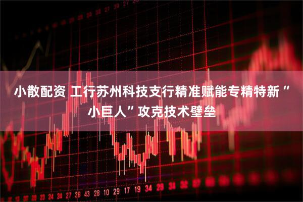 小散配资 工行苏州科技支行精准赋能专精特新“小巨人”攻克技术壁垒