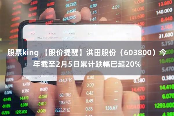 股票king 【股价提醒】洪田股份（603800）今年截至2月5日累计跌幅已超20%