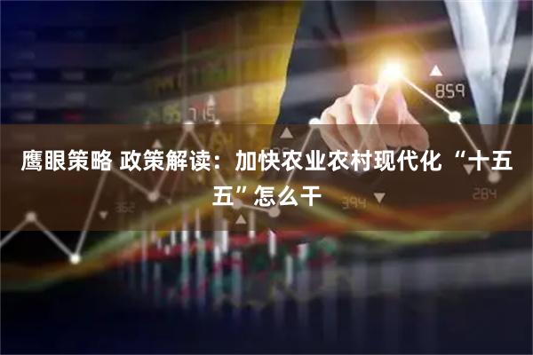 鹰眼策略 政策解读：加快农业农村现代化 “十五五”怎么干